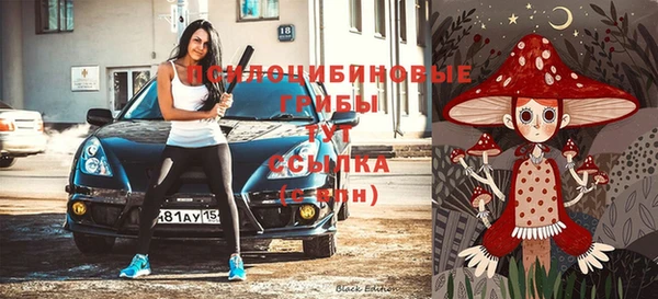 Альфа ПВП Аркадак
