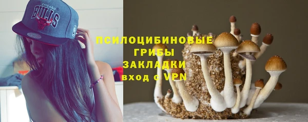 экстази Арсеньев