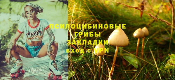 крисы Протвино